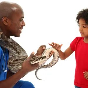 Snakes as a pet Snakes as a pet