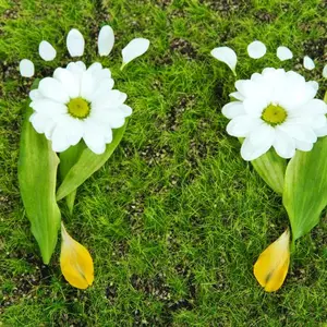 Footprints of leaves and flowers on grass.