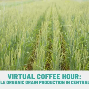 Mid-large Scale Organic Grain Production In Central Great Plains