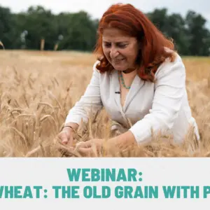 Webinar: Ancient Wheat: The Old Grain With Prospects