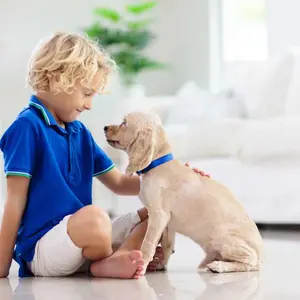 Boy and his puppy