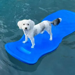 Dog on a raft in the water Dog on a raft in the water