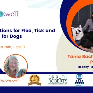 Banner: Natural Pet Show: Natural Options for Flea, Tick and Heartworm for Dogs