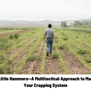 Webinar: Many Little Hammers—A Multitactical Approach to Managing Weeds in Your Cropping System
