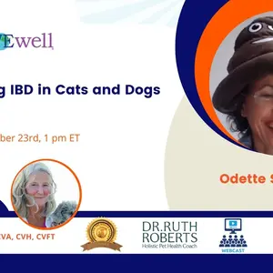 Conquering IBD in Cats and Dogs: Natural Pet Health