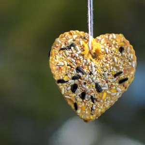 Bird Seed Heart