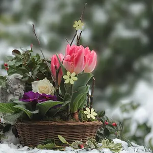 basket of flowers basket of flowers