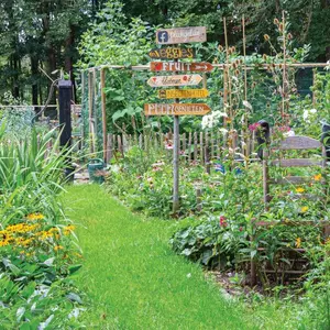 Backyard garden