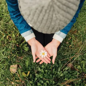 The wonder of a flower