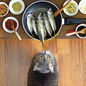 Cat in front of natural healing choices