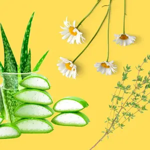 Aloe vera, chamomile and thyme