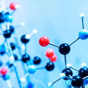 Molecule model