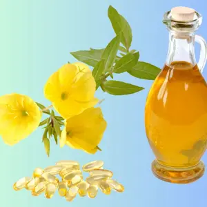 Primrose flowers, oil and supplements