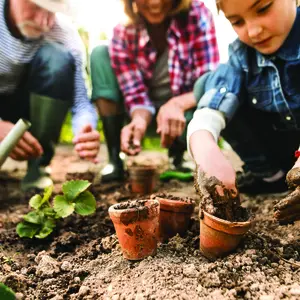 A kids planting