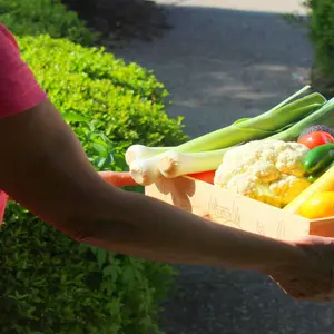 Person offering CSA box full of vegetables to another person