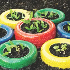A plants planted on colorful wheels