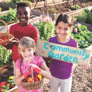 A kids harvesting vegetables