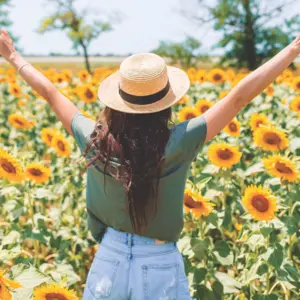 A lady in the sunflower field