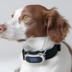 Dog with smart collar