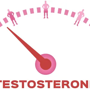 testosterone meter on white background vector testosterone meter on white background vector