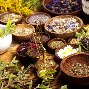 Variety of medicinal herbs
