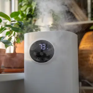 a humidifier in sitting in a plant-filled home
