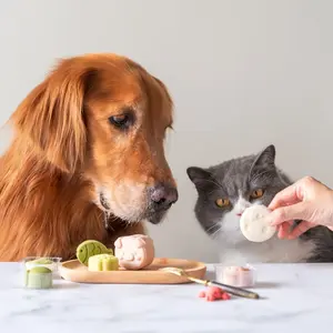 Dog and cat eating